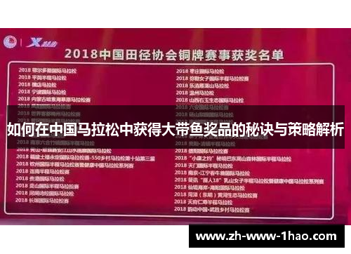 如何在中国马拉松中获得大带鱼奖品的秘诀与策略解析