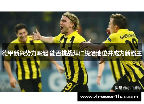 德甲新兴势力崛起 能否挑战拜仁统治地位并成为新霸主