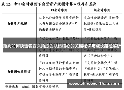 新秀如何快速崭露头角成为队伍核心的关键秘诀与成长路径解析