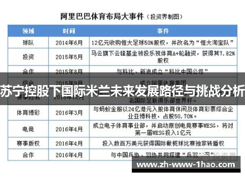 苏宁控股下国际米兰未来发展路径与挑战分析